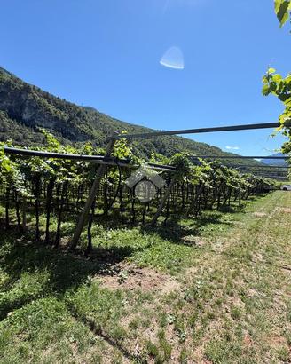 TERRENO A VOLANO