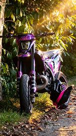 Ktm sx 250 2024