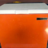 Frigorifero bivalente 12v- 220 v