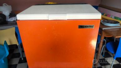 Frigorifero bivalente 12v- 220 v