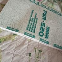 Manuale istruzioni per tastiera Yamaha PSR-520