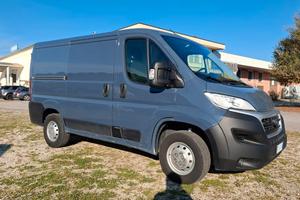Fiat Ducato - Km 39.000 - Passo Corto - Anno 2021