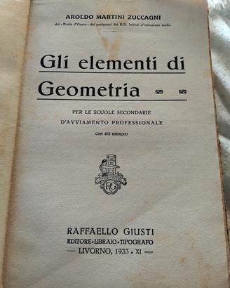 Elementi geometria A M.Zuccagni