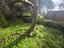 Immagine 20