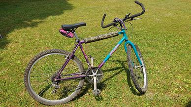 mountanbike bicicletta