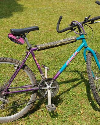 mountanbike bicicletta