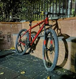 BERGAMONT REVOX anno 2022