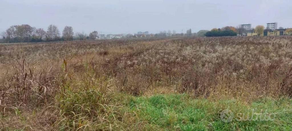 Immobile in asta di 64986 m² a San Donà di Piave - Vista 3
