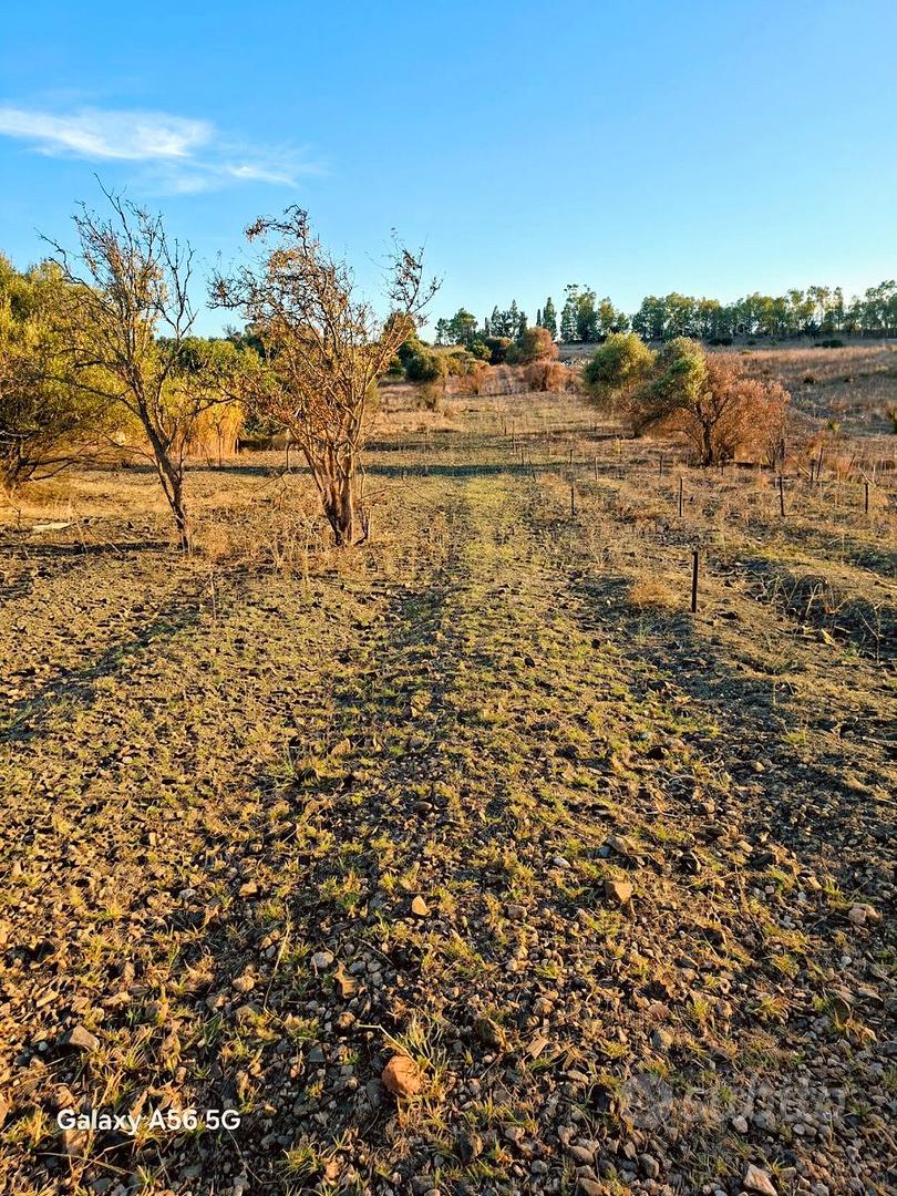 Terreno con rudere e pozzo per irrigazione - Vista 2