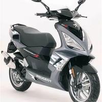 PEUGEOT SPEEDFIGHT 3 RS RICAMBI
