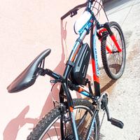 Ebike pedalata assistita