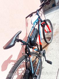 Ebike pedalata assistita