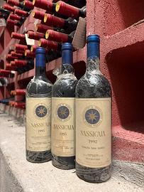 Bolgheri Sassicaia supertuscan