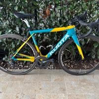 Bici da corsa