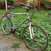 Bici da città 