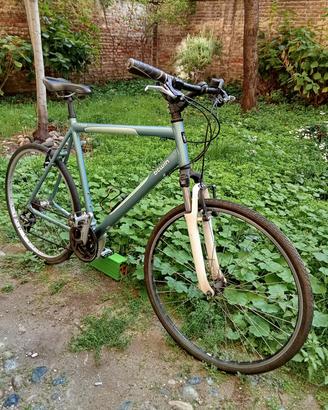 Bici da città 