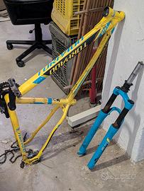 Telaio mtb Torpado, cerchio da 29