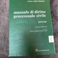 Manuale di diritto processuale civile