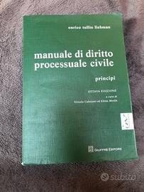 Manuale di diritto processuale civile