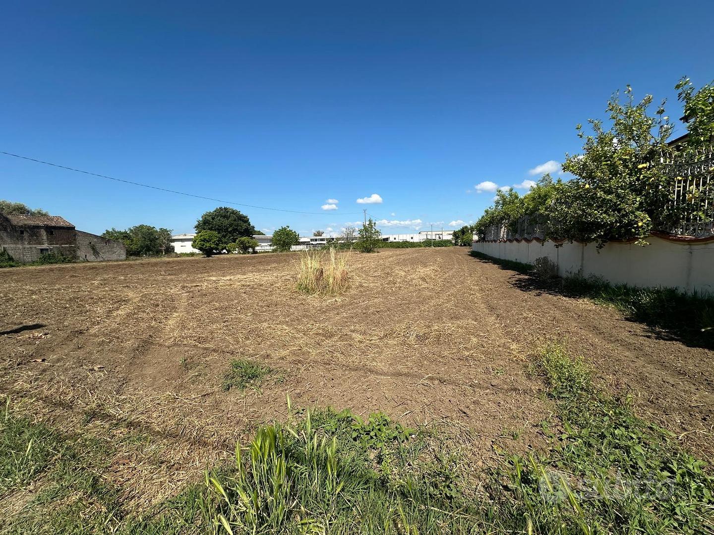 Vendessi terreno Vitulazio - Vista 6