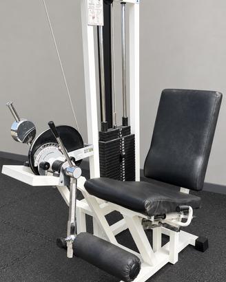 Leg Extension Rehab Technogym Lux