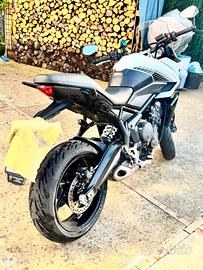 Triumph Tiger Sport 660 - 2024