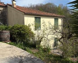 CASA INDIPENDENTE A LEIVI