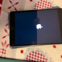 Ipad Mini 3 wifi + sim