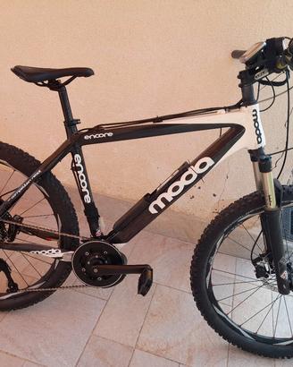 MTB elettrica 750w carbonio