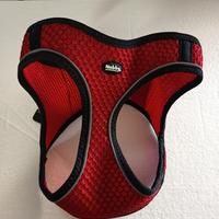 Pettorina Nobby Mesh Air - M-L