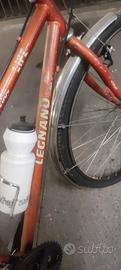 Bici uomo 