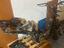 Immagine 2