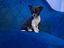 Immagine 1