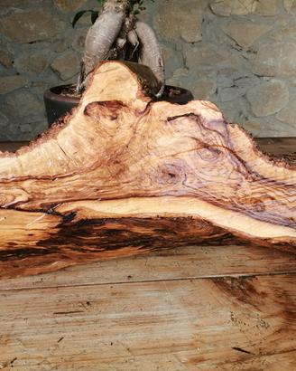 fetta di legno di ulivo 