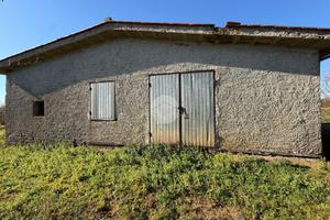 TER. AGRICOLO A NEPI