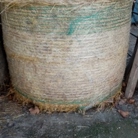 Fieno erba medica