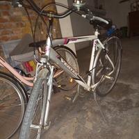 bicicletta uomo 