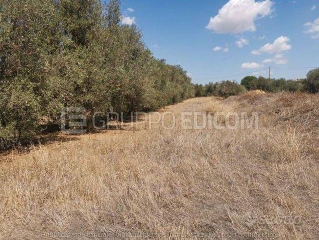 Terreno, Mazara del Vallo.