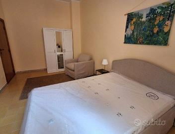 Piazza bologna stanze metro b