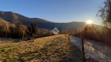 TER. AGRICOLO A SULZANO