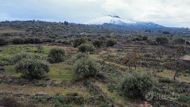 Terreno Agricolo/Culture Biancavilla