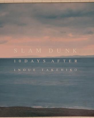 Slam Dunk 10 Days After (di Takehiko Inoue)