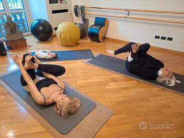 2 Fitball Professionali – Technogym Wellness Ball