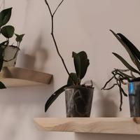 Mensole in legno di abete