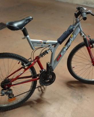 bicicletta