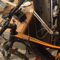 Bici elettrica