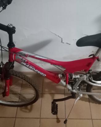Mountain bike 