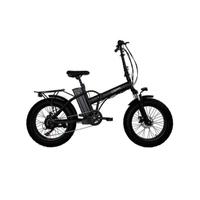 bicicletta pieghevole a pedalata assistita 