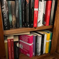 Lotto di 175 libri Fantasy & Romanzi