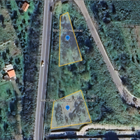 Terreno agricolo con uliveto